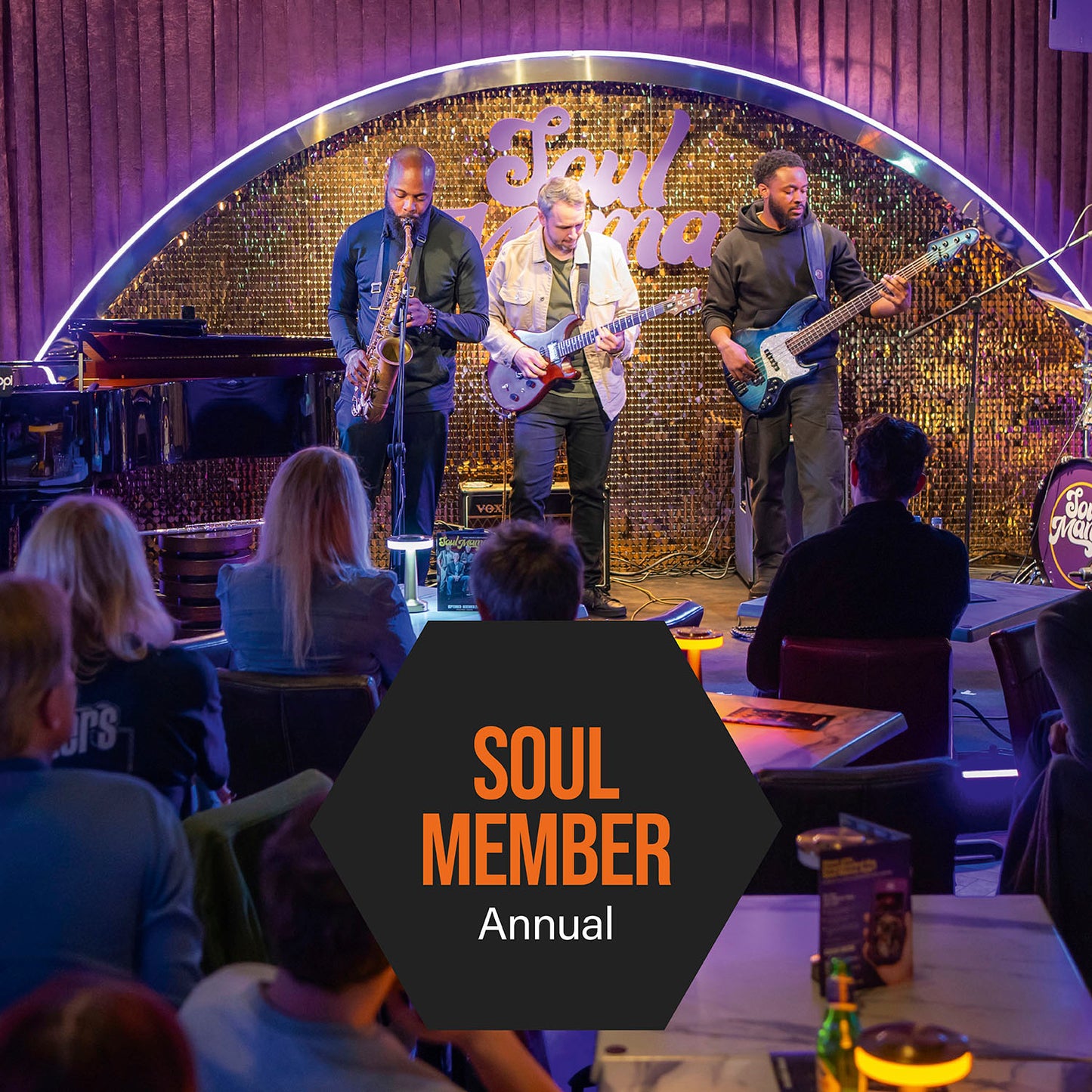 ANNUAL SOUL MEMBERSHIP